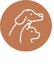 Pet Place